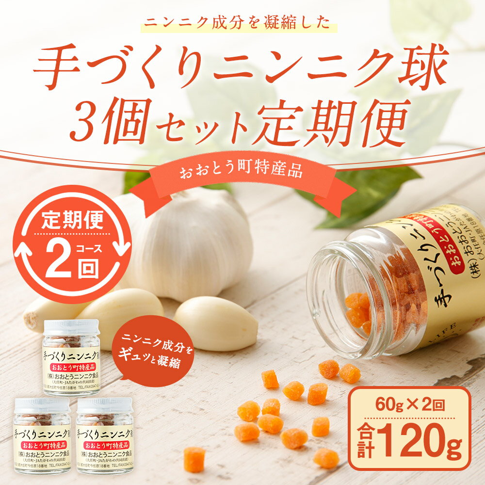 【ふるさと納税】【定期便2回】手づくりニンニク球 3個セット 1回あたり60g×2回 合計120g 国産 にんにく 玉 瓶入 定期便 送料無料