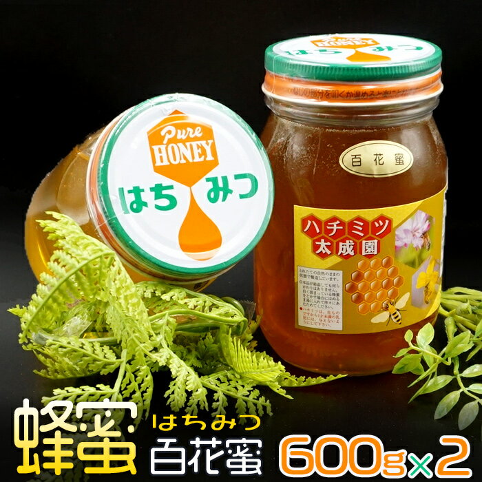 【ふるさと納税】 赤村でとれた 純赤村産 はちみつ 百花蜜600g (2個セット) K1