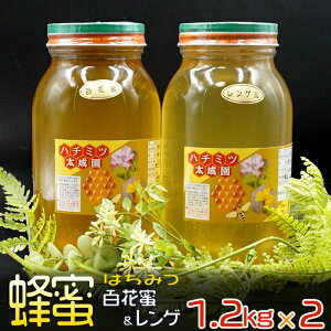 【ふるさと納税】 赤村でとれた 純赤村産 はちみつ 百花蜜　2個セット（レンゲ蜜1.2kg、百花蜜1.2kg）　K2