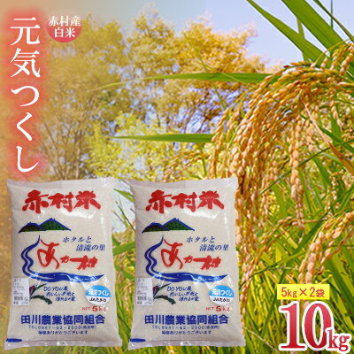 【赤村産夢つくし】 「夢つくし」は福岡県で生まれ、現在も福岡県でしか生産されていないお米です。 福岡県のオリジナル米であるため、福岡県内では非常に有名なお米となっています。 名前の由来は、夢や希望を意味する「夢」と、九州の地名であった筑紫からとられた 「つくし」に、気持ちを「つくす」という意味の言葉を合わせ「夢つくし」となっています。 コシヒカリほどではないキヌヒカリのほどよい粘り気に、 コシヒカリのしっかりとした歯ごたえを加え、まさしく良いトコ取りを実現したと言えるでしょう。 柔らかで包み込むようななんとも言えない食べ心地は絶品です。 決して主張しすぎないほど良い甘味があり、見た目の光沢も非常に美しく 良質な味わいが特徴と言えるでしょう。 口に入れた際の特徴的な香りは一度食べると一気にファンになると言う方も少なくありません。 日本穀物検定協会の米の食味ランキングにおいても、 平成24年から3年連続でAランクを獲得するなど高い評価を得ています。 商品説明 名称 赤村産「夢つくし」（白米）10kg（5kg×2） 内容量 福岡県赤村 夢つくし（白米）5kg×2袋 消費期限 ※返礼品到着後は、冷蔵庫で保管をお願いいたします。 なるべくお早めにお召し上がりください。 配送 冷蔵 入金確認後、順次発送 ※年末年始など、ご注文が殺到した場合には発送までお時間をいただく場合がございます ※配達指定日不可（時間帯のみ指定可） ※ご不在日、配達時間指定、配送時期のご要望があれば、必ず備考欄に記載してください 注意事項 ※配達指定日や配送時期のご希望は受け付けておりません ※備考欄に記載されたご希望に添えない場合でもご連絡はいたしませんので予めご了承ください。 ・ふるさと納税よくある質問はこちら ・寄附申込みのキャンセル、返礼品の変更・返品はできません。 　あらかじめご了承ください。