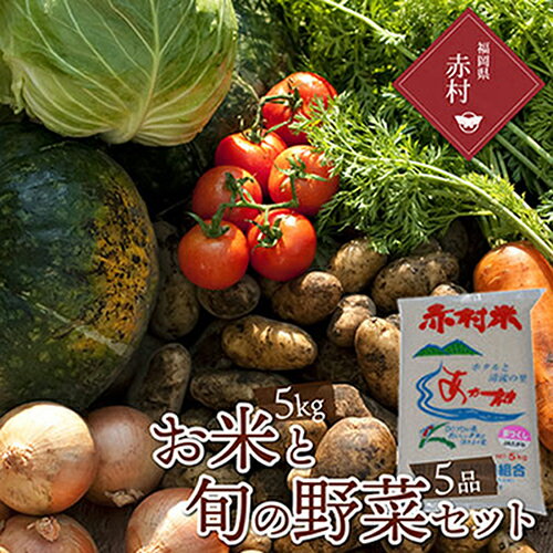 赤村産 「 夢つくし 」 5kg と 厳選 の 旬 の 野菜セット (野菜5品) 野菜 新鮮 季節 朝一番 E6