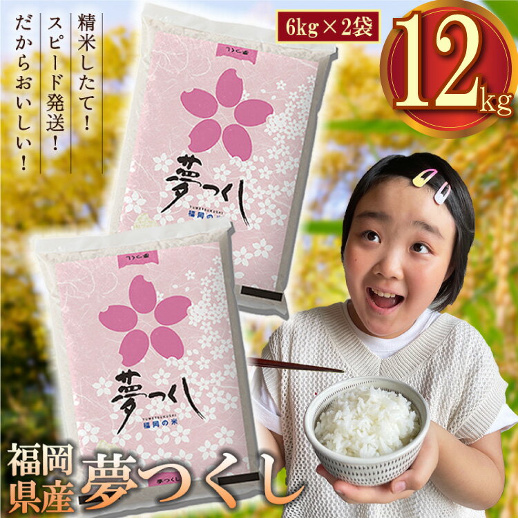 【ふるさと納税】 福岡県 ブランド 米 「夢つくし」12kg(6kg×2袋) 白米 白飯 白ごはん ゆめ 夢 つくし こめ コメ ライス お得 お買い得 福岡 福岡県 赤村 納税 　3X1のサムネイル