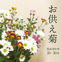 【ふるさと納税】 福岡県 赤村 スプレー菊　花束 （ 20～30本 ） Q1
