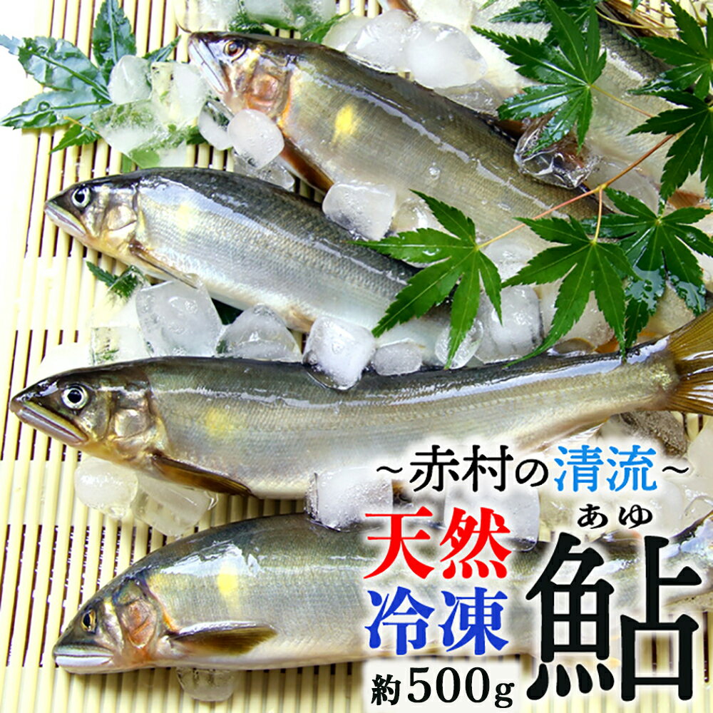ڤդ뤵Ǽǡ   500g ̸ ŷ   ʡ ¼ դ뤵 Ǽ 3E5
