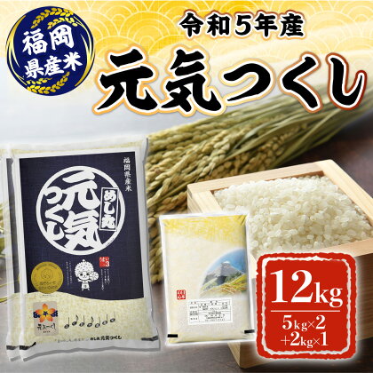 福岡県産　元気つくし　12kg 米 ごはん ご飯 白飯 白米 白ごはん ゴハン 　3KB4-S