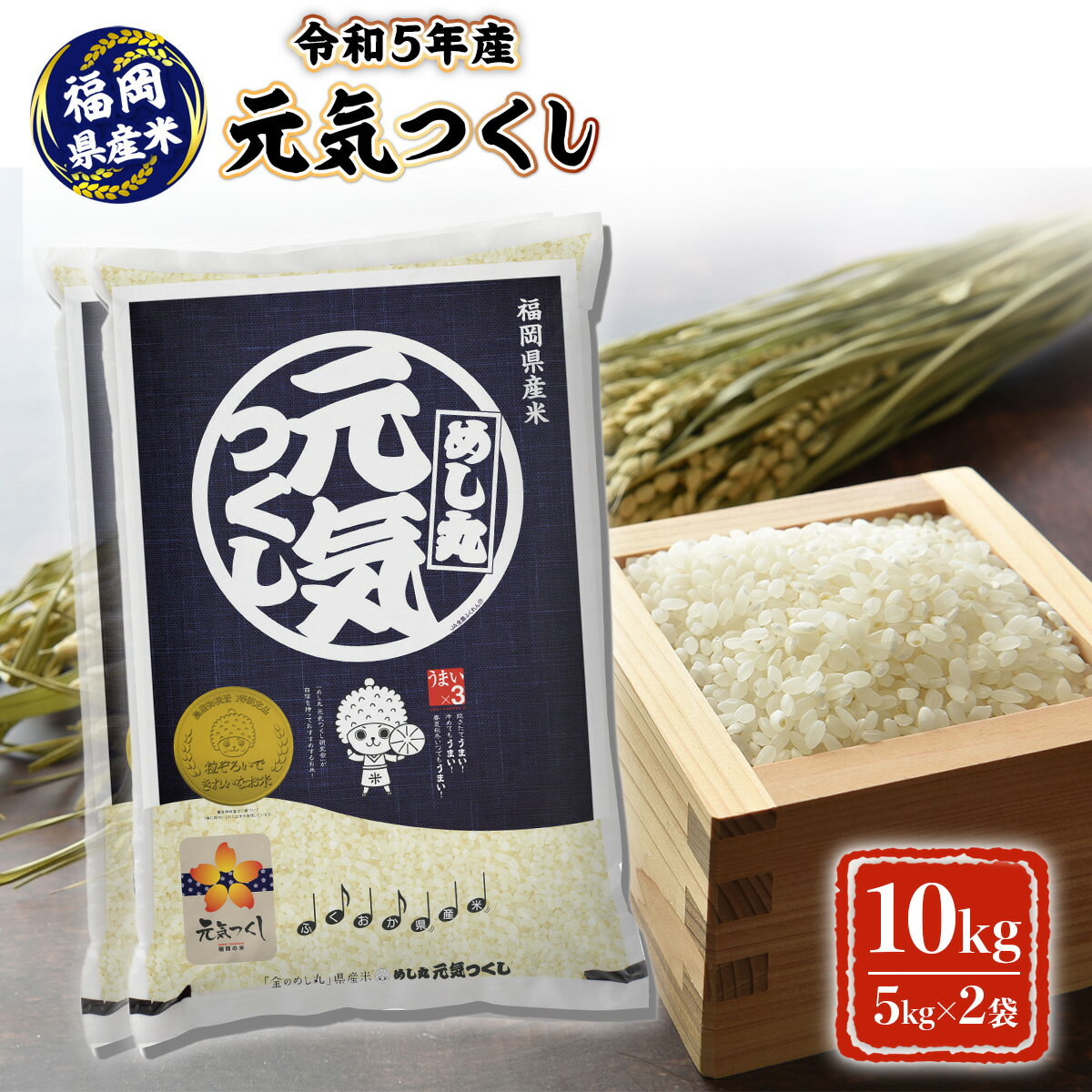 福岡県産 元気つくし 10kg 米 ごはん ご飯 白飯 白米 白ごはん ゴハン 3KB3-S