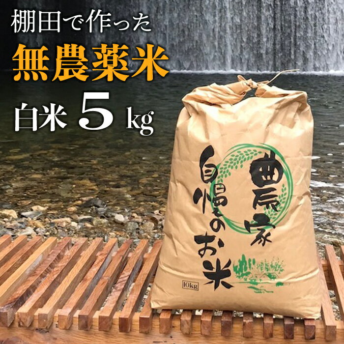 【 新米 】先行予約 令和6年度産 赤村産 棚田米 こだわりの 夢つくし （ 精米 ） 5kg J4-S