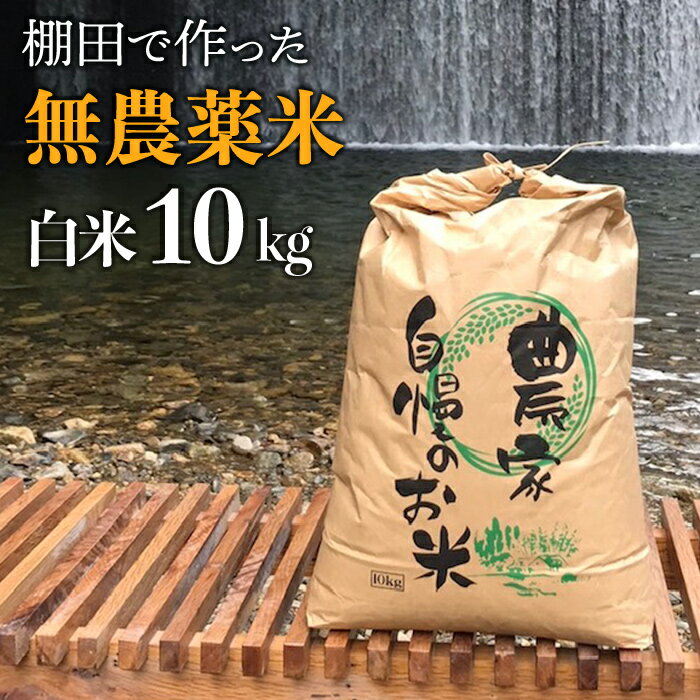 【 新米 】先行予約 令和6年度産 赤村産 棚田米 こだわりの 夢つくし （ 精米 ） 10kg J5-S