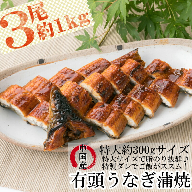 【ふるさと納税】 うなぎ 蒲焼 特大 土用の丑の日 3尾 有