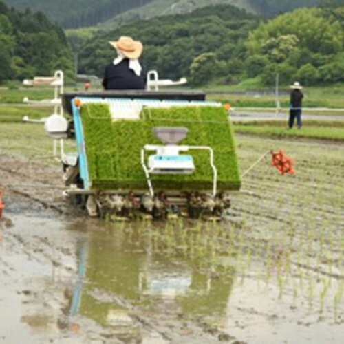 今川米（夢つくし）5kg×2 米 白飯 ライス ごはん 福岡 赤村　F2