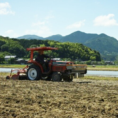 【ふるさと納税】今川米（夢つくし）5kg 米 白飯 ライス ごはん 福岡 赤村　F1