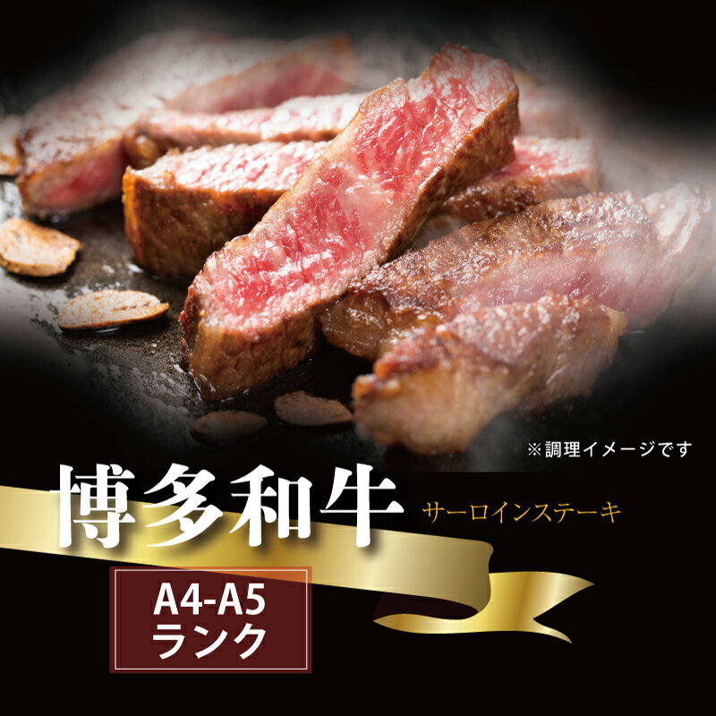 23位! 口コミ数「0件」評価「0」【A5A4等級】博多和牛サーロインステーキ用 約500g(2枚入) 博多 和牛 ステーキ 3V1