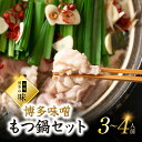 【ふるさと納税】本場　博多の味！博多味噌もつ鍋　3〜4人前　Y5