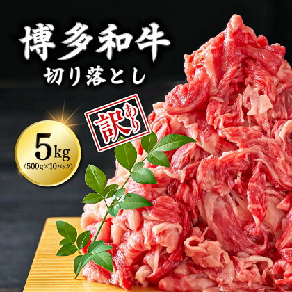 【訳あり】博多和牛切り落とし　5kg(500g×10p） Y23