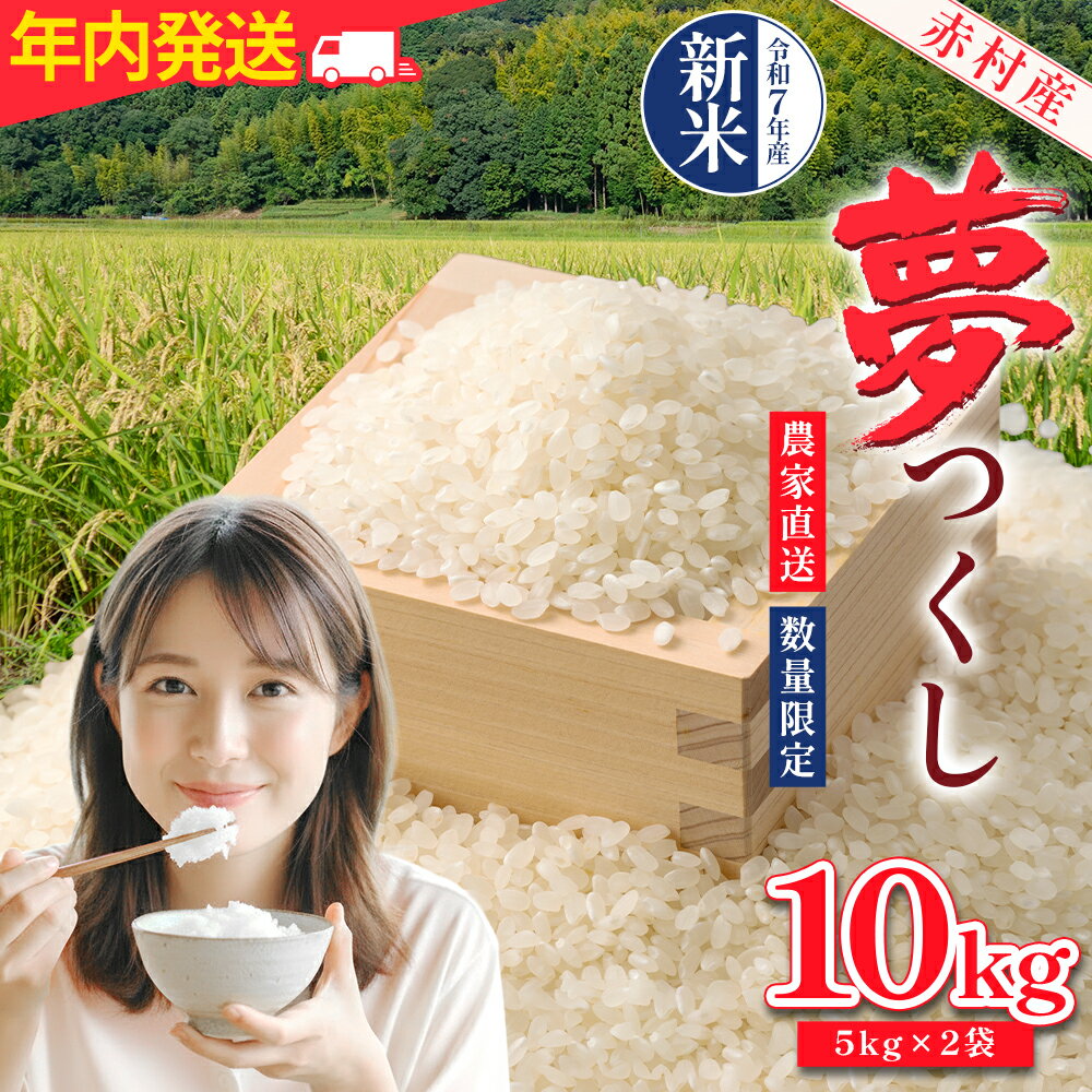 赤村産米 農家直送[数量限定]おこめ こめ 米 精米 夢つくし (年内発送) 10kg 福岡県 赤村 4U1