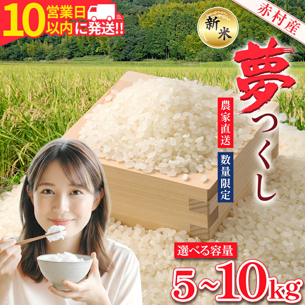 【ふるさと納税】【10営業日以内に発送】 赤村産米 農家直送【数量限定】おこめ こめ 米 精米 夢つくし 5kg～10kg 福岡県 赤村 (品番：4U1-S1/4U2-S)