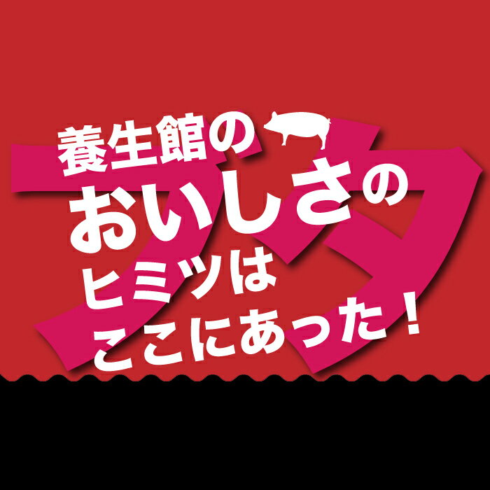 【ふるさと納税】赤村 養生館 特製 手ごね ハンバーグ 20個 手ごねハンバーグ B9