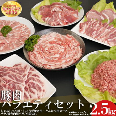 赤村 養生館 豚肉 セット 2.5kg 豚 しゃぶしゃぶ しょうが焼き 肩 ロース バラ 焼肉 とんかつ 豚小間切れ 小間切れ 福岡県 福岡県赤村 B6