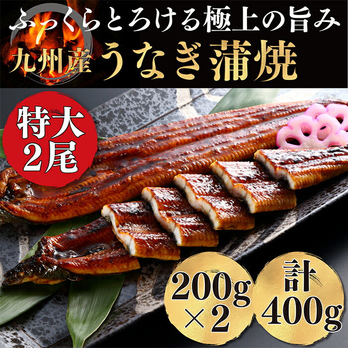 【ふるさと納税】≪生産者支援企画※2021年1月2日までの期間限定受付≫極みうなぎ蒲焼2尾（老舗割烹秘伝タレ）