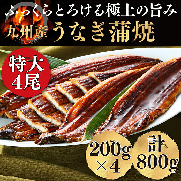 【ふるさと納税】≪生産者支援企画※2021年1月2日までの期間限定受付≫極みうなぎ蒲焼4尾（老舗割烹秘伝タレ）