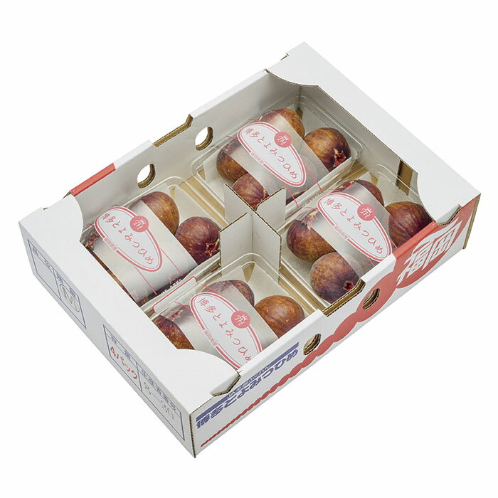 【ふるさと納税】2026年発送 とよみつひめイチジク（4パック）約1.2kg 無花果 いちじく 福岡県 福智町産 ブランド 果実 先行予約 送料無料 《 予約受付 》 レビューキャンペーン 《福智町チャンス》W20-01