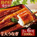 【ふるさと納税】 数量限定 丑の日 先行予約 容量選べる 国産うなぎ蒲焼大サイズ 2尾 4尾 6尾 鰻 鰻蒲焼用タレ・山椒付 うなぎ ウナギ 生産量日本一 鹿児...