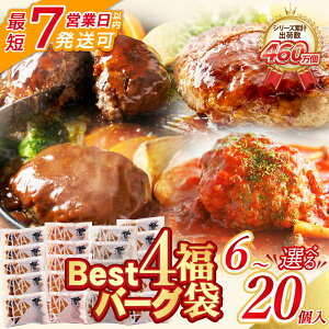 【ふるさと納税】 累計460万個突破! Best4 ハンバーグ セット 4種 大容量 お試し 少量 6〜20個セット 4種ハンバーグセット 牛肉 豚肉 洋食 デミソース てりやき ジャポネ 博多若杉 コスパ 送料無料 ★レビューキャンペーン開催中★