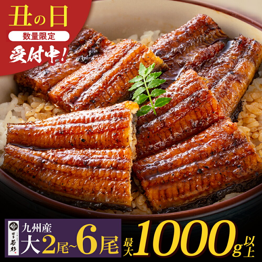 【ふるさと納税】国産うなぎ蒲焼大サイズ2尾（計350g以上）鰻蒲焼用タレ・山椒付 うなぎ生産量日本一鹿児島県産・宮崎県産 K61-71のサムネイル