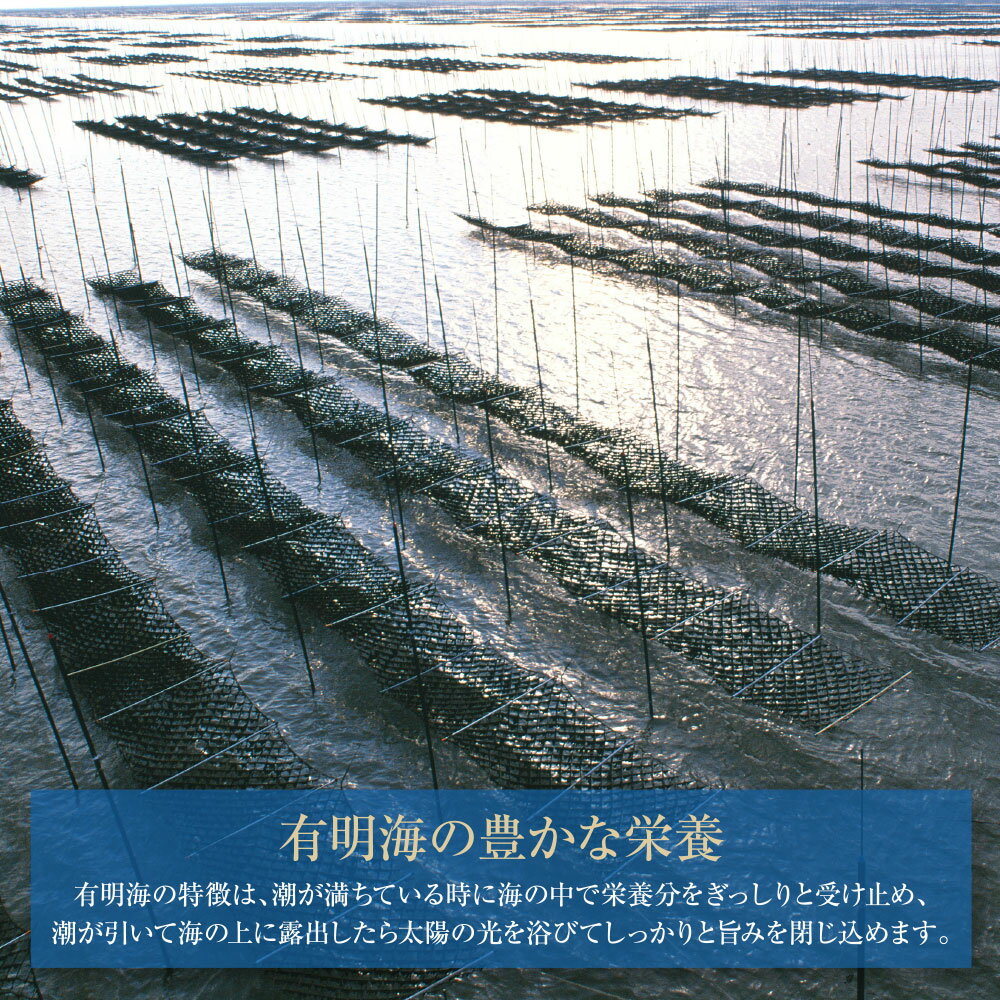 【ふるさと納税】 レビューキャンペーン 福岡有明のり 味海苔 10切100枚 4本セット 合計400枚 10切 小分け 大容量 ボトル入り 便利 有明海苔 味付け海苔 味のり あじのり ノリ 海苔 のり ご飯のお供 わけあり ワケアリ 訳アリ 福岡県 福智町 送料無料