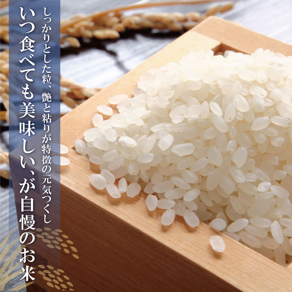 選べる無洗米・研ぐお米・定期便 ♪冷めても変わらない美味しさが特徴の福岡県で親しまれるブランド米　【ふるさと納税】令和7年産 新米 ★ 選べる 無洗米・研ぐお米・定期便 福岡県産 元気つくし 2〜25kg 無洗米 10kg キロ 弁当 美味しい 送料無料 米 コメ 箱入り 福岡 20キロ 元気つくし 元気づくし 手軽 リピート 日時指定 ギフト 福岡県 研ぐお米《福智町チャンス》