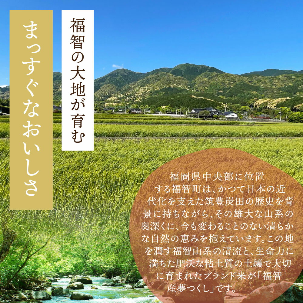 【ふるさと納税】レビューキャンペーン 福智町産ブランド米 夢つくし 5kg ブランド米 福岡県産 お米 こめ 日常 銘柄 おいしい 人気 5キロ ゆめつくし 産地直送 伊方 福岡県 福智町 国産 送料無料 《福智町チャンス》