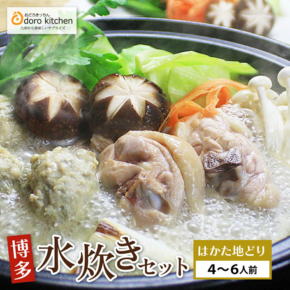 【ふるさと納税】 レビューキャンペーン 数量限定 おどろきっちん 博多水炊き(はかた地どり) 4〜6人前 ..