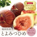 【ふるさと納税】とよみつひめイチジク（4パック）約1.2kg 無花果 いちじく 福岡県 福智町産 ブランド 果実 送料無料 《 予約受付 》P20-01