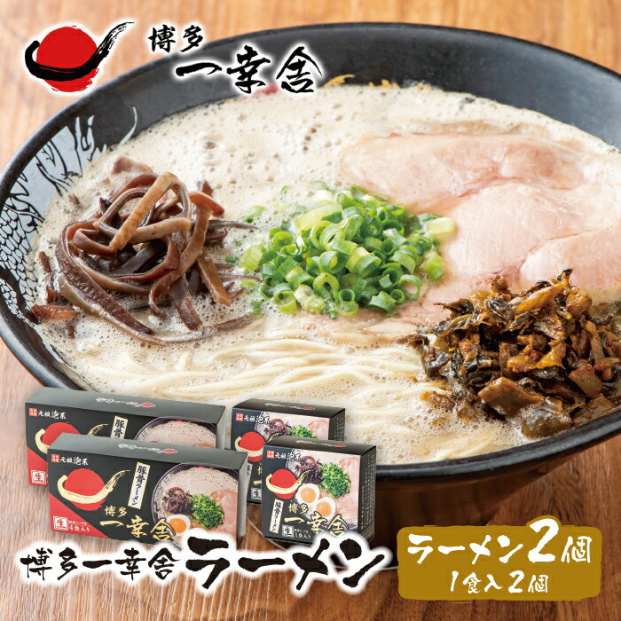 【ふるさと納税】元祖泡系・渾身の豚骨!!博多一幸舎ラーメン(4食入)2個＆(1食入)2個 P53-02