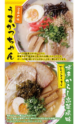 福岡県福智町 【ふるさと納税】うまかっちゃん 博多からし高菜風味食べ比べセット(5食×2)計10食 博多ラーメン とんこつ インスタント 袋ラーメン ご当地 拉麺 高菜 福岡 送料無料 M55-06 画像3