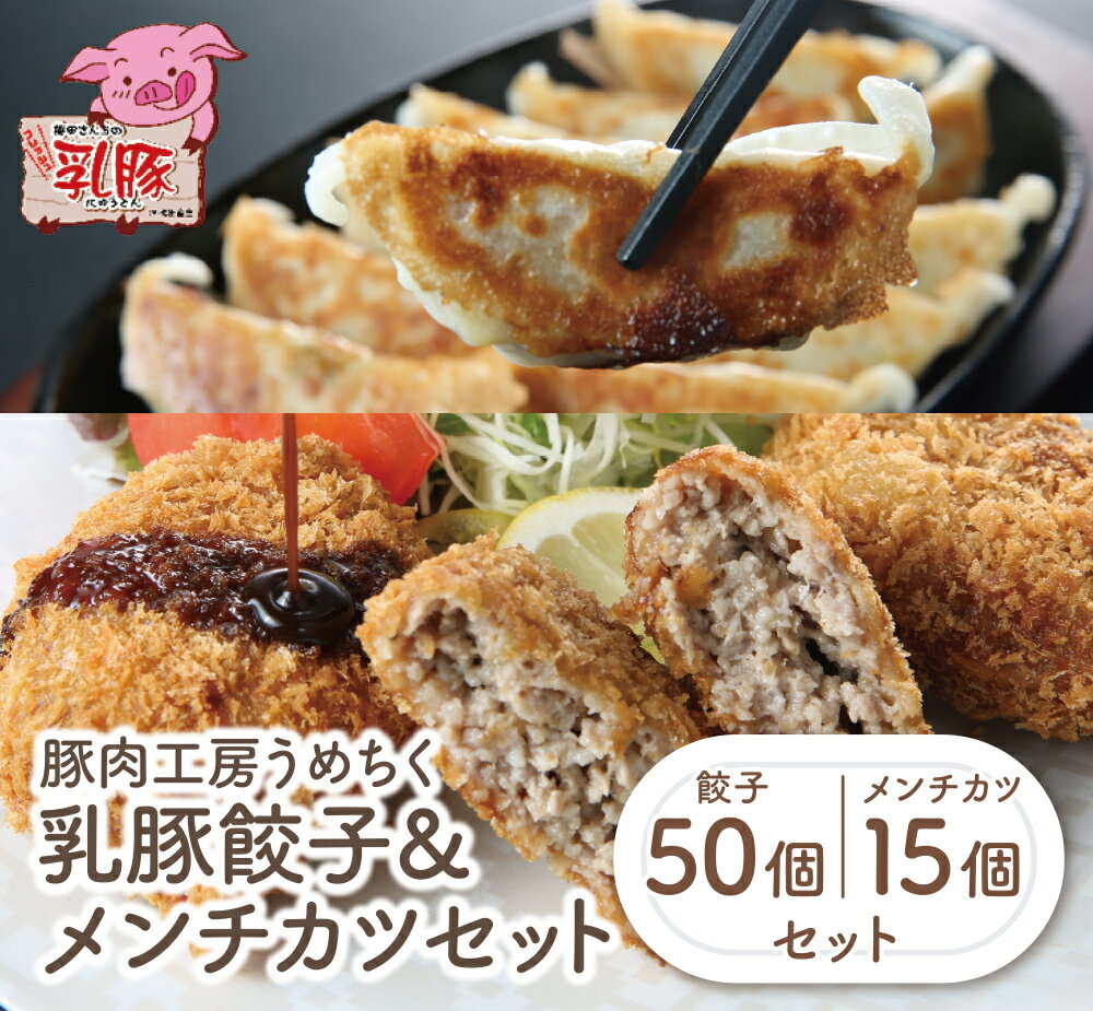 【ふるさと納税】乳豚 餃子50個＆メンチカツ15個セット 豚 ブランド肉 セット ギフト 国産 送料無料 H04-10