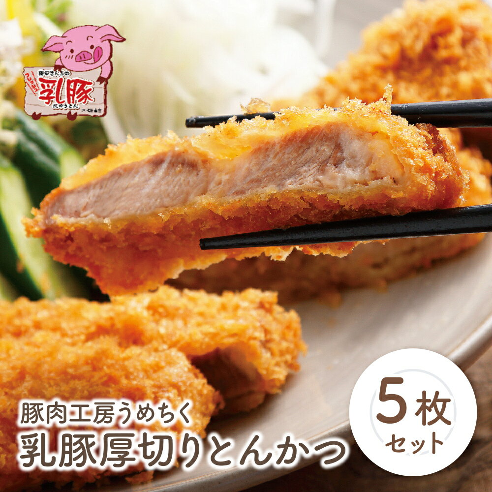 【ふるさと納税】 レビューキャンペーン 乳豚厚切りとんかつ5枚 豚肉工房 うめちく 豚 ブランド肉 カツ 加工品 ギフト 国産 送料無料 《福智町チャンス》