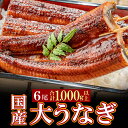 【ふるさと納税】 国産うなぎ蒲焼大サイズ6尾（計1000g以