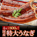  国産うなぎ蒲焼特大サイズ4尾（計800g以上）鰻蒲焼用タレ・山椒付 うなぎ生産量日本一鹿児島県産・宮崎県産 M61-74