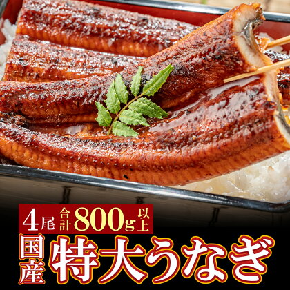  国産うなぎ蒲焼特大サイズ4尾（計800g以上）鰻蒲焼用タレ・山椒付 うなぎ生産量日本一鹿児島県産・宮崎県産・熊本県産 P61-74