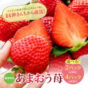 【ふるさと納税】あまおう 苺 選べる数量 2パック 4パック イチゴ いちご あまおう苺 アルギット農業 自然農法 フルーツ 果物 福岡県産 福智町産 送料無料 数量限定品 ※2024年1月上旬より順次発送 M21