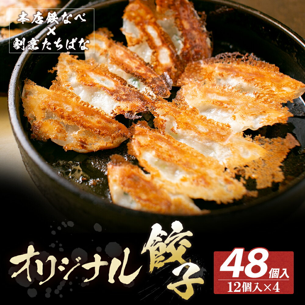 本店鉄なべ×割烹たちばな オリジナル餃子48個 一口 老舗 割烹 名店 ご当地グルメ 薄皮 送料無料 U02-12-01