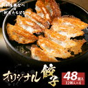 【ふるさと納税】 レビューキャンペーン 本店鉄なべ×割烹たちばな オリジナル餃子48個 一口 老舗 割烹 名店 ご当地グルメ 薄皮 送料無料 《福智町チャンス》