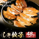 【ふるさと納税】 レビューキャンペーン 本店鉄なべ×割烹たちばな しそ餃子48個 一口 老舗 割烹 名店 ご当地グルメ 薄皮 送料無料 《福智町チャンス》
