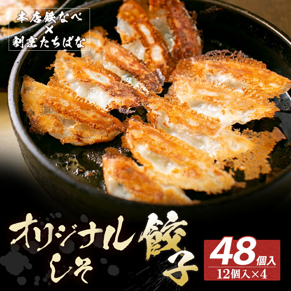 本店鉄なべ×割烹たちばな 餃子セット48個(オリジナル・しそ各24個) 一口 老舗 割烹 名店 ご当地グルメ 薄皮 送料無料 U02-14-01 [上野焼チャンス]