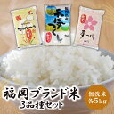 【ふるさと納税】無洗米 福岡ブランド米3品種セット(各5kg