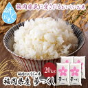 【ふるさと納税】 九州の人気銘柄!!研ぐお米 福岡県産・夢つくし20kg ゆめつくし お米 白米 送料無料 U17-19-01
