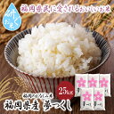 【ふるさと納税】 九州の人気銘柄!!研ぐお米 福岡県産・夢つくし25kg ゆめつくし お米 白米 送料無料 U17-20-01