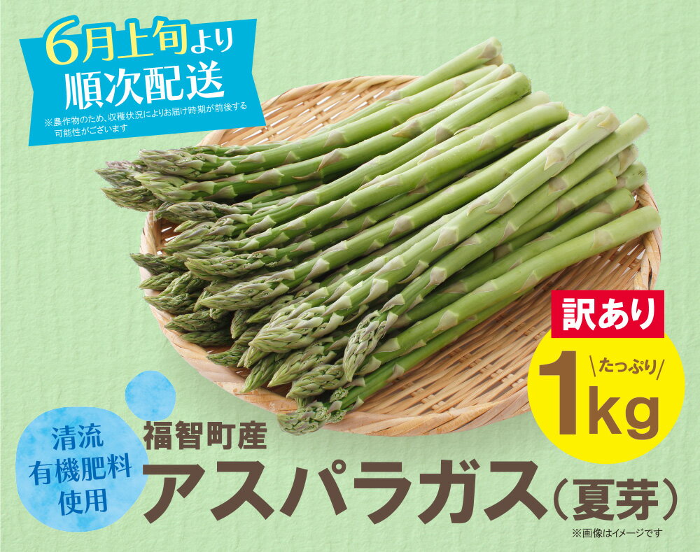 【ふるさと納税】【訳あり】清流・有機肥料使用 アスパラガス(夏芽) 1kg 朝採り 旬 旬野菜 新鮮 アスパラ アスパラガス 野菜 とれたて お取り寄せ 福岡県 福智町 国産 九州産 送料無料 P18-23