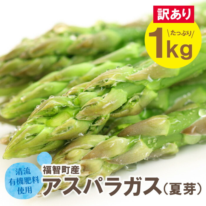 【ふるさと納税】【訳あり】清流・有機肥料使用 アスパラガス(夏芽) 1kg 朝採り アスパラ アスパラガス 野菜 とれたて お取り寄せ 福岡県 福智町 国産 九州産 送料無料 P18-23